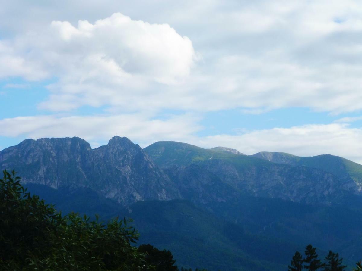 Apartamenty Folk Dream Harenda Zakopane Exterior photo